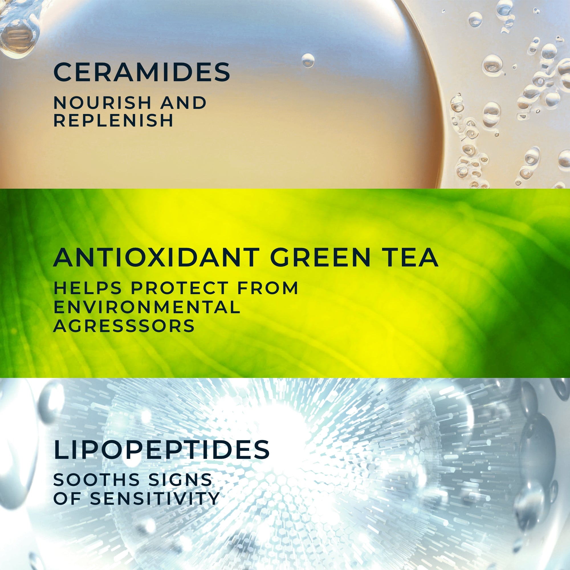 Barrier Renew® PM Moisturizer - Image 4