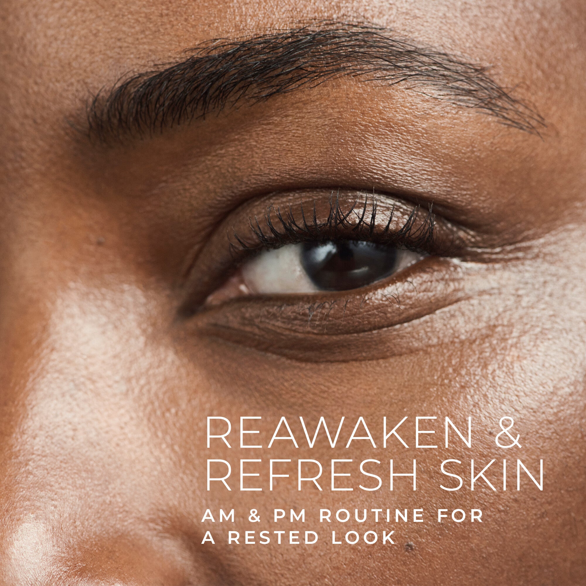 The Reset Set - Image 2